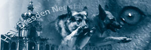 Hundesport in Dresden