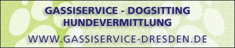 Gassiservice